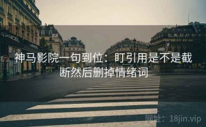 神马影院一句到位：盯引用是不是截断然后删掉情绪词