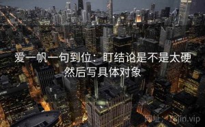 爱一帆一句到位：盯结论是不是太硬然后写具体对象