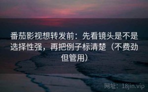 番茄影视想转发前：先看镜头是不是选择性强，再把例子标清楚（不费劲但管用）