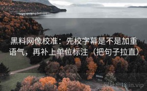黑料网像校准：先校字幕是不是加重语气，再补上单位标注（把句子拉直）